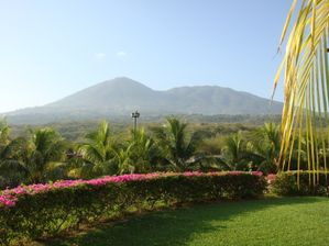DSC01408