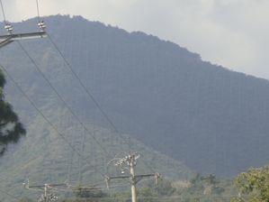 DSC01429