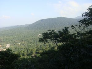 DSC01441