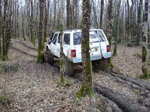 Cherokee-2.jpg
