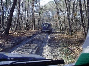 Land-dans-bois-2.jpg