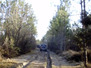 Land-dans-bois-3.jpg