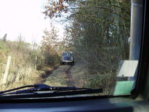 Sous-bois-2.jpg