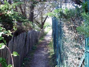 Chemin-Douane