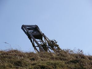 P3170056-3