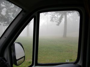 Brouillard