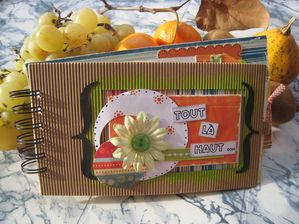 mini-albums_4878.jpg