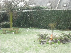 DSCF1235.JPG