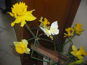 DSCF1381.JPG