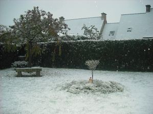 neige-2.JPG