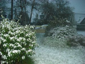 neige1.JPG
