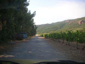 DSCN7727.JPG
