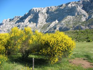 La montagne sainte victoire de près1