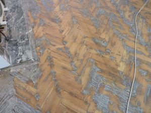 2010 06 19 parquet 13