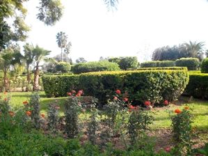 maroc-decembre-2011-215.JPG