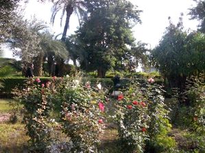 maroc-decembre-2011-225.JPG