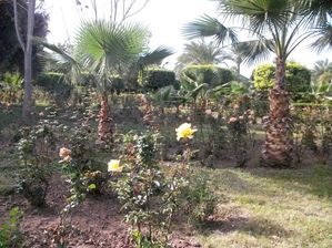 maroc-decembre-2011-228.JPG