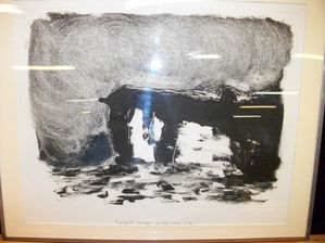 pinceaux-d-andelle-2011-014.JPG