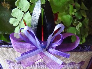 Photo 018