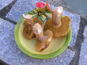 blog-003-copie-2.jpg
