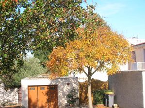blog-033-copie-1.jpg