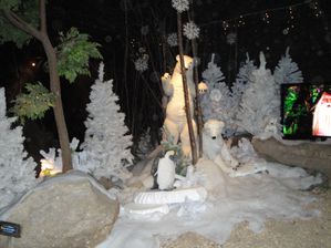 DSC01922