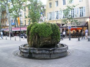 IMGP4813.JPG
