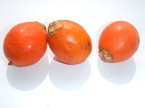 awara--1-.jpg
