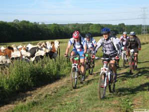 VétifleTTe 2011 By Thierry41