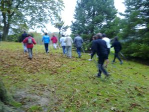 23102010391.jpg