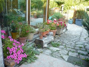P1060783-copie-1.jpg