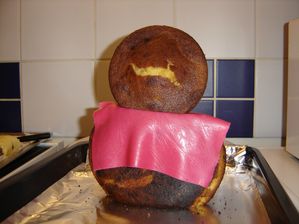 Gateau-3D-Winnie-habillage.JPG