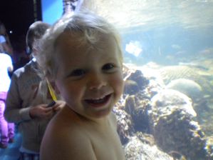 Aquarium de la Rochelle (18)