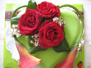 IMG 4656