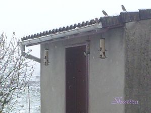 P251110 10.120001