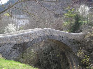 P1010249