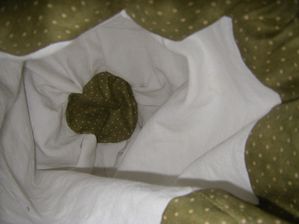 IMGP0218
