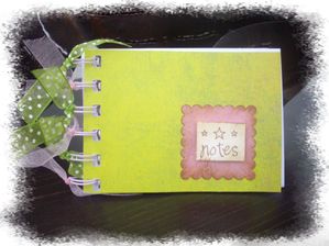 Carnet reçue d'Emilie Noel 2009
