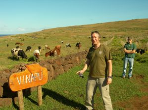 Rapa Nui-3 juin 2008-Vinapu-Enrique & vaches