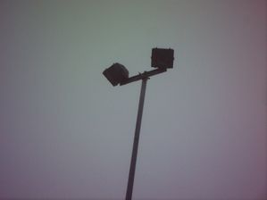 culture-0040.JPG