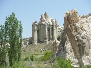 IMGP0800.JPG