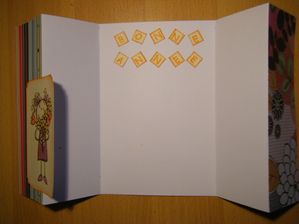 DSCF6634