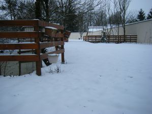 DSCF6656