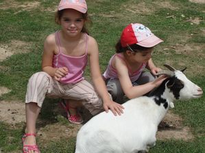 2010.0722.-033.jpg