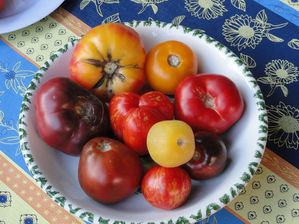 Tomates-Heirloom-001.JPG