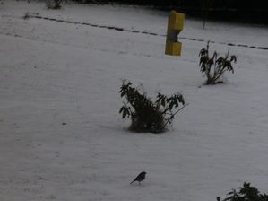 PICT0071.JPG