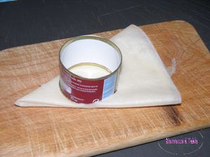DSCN3615T.jpg