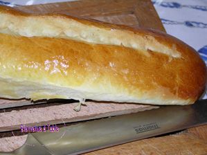 DSCN3883T.jpg