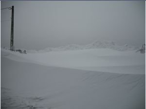 1-copie-3.jpg
