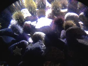 Photo0301